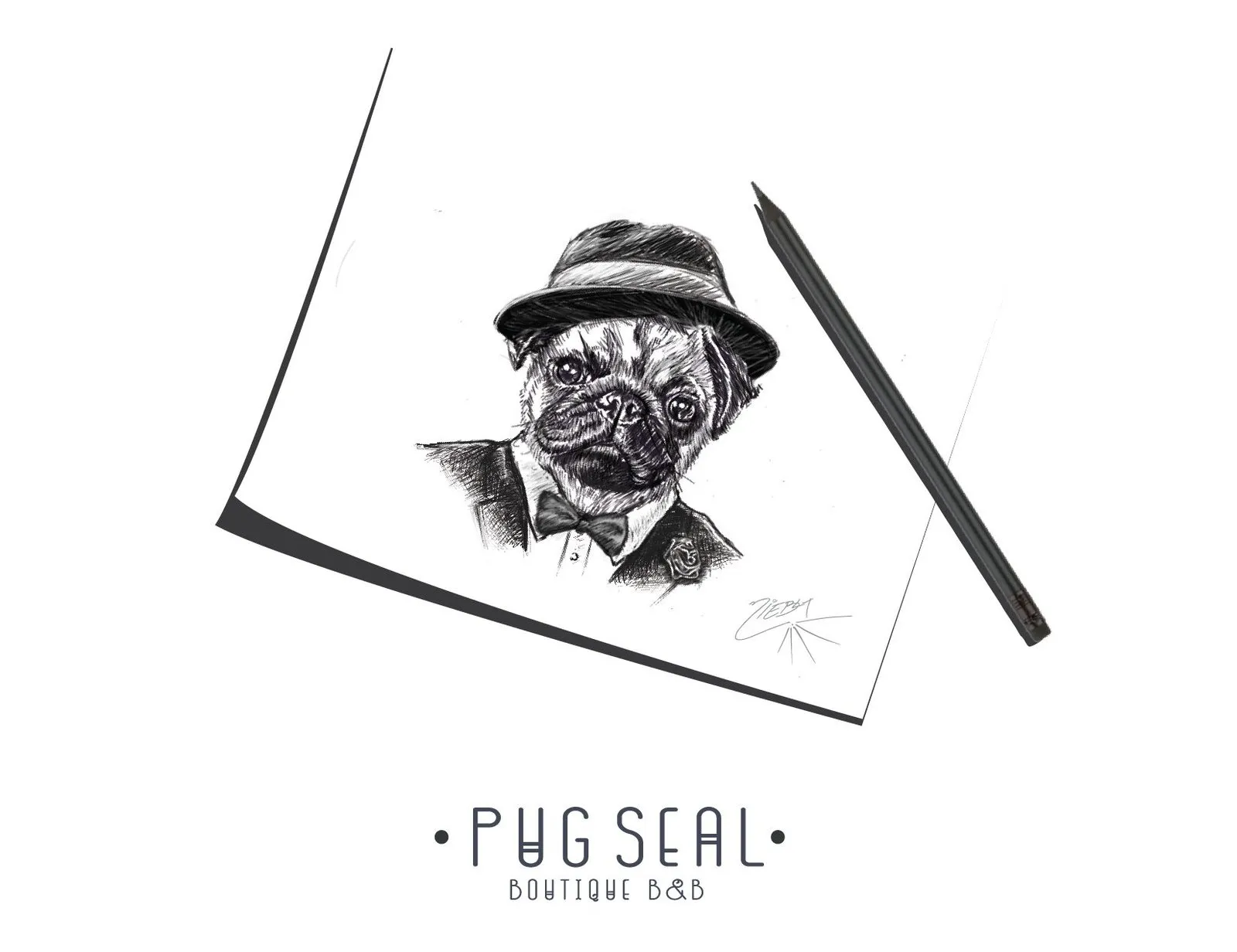Pug Seal — boceto de marca