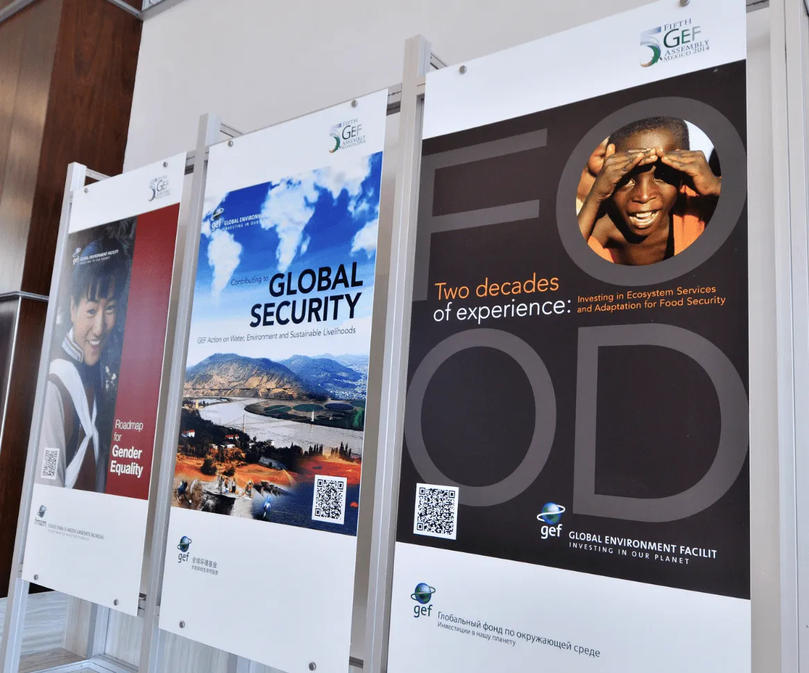 Fifth GEF Assembly Mexico 2014 — imagen 2