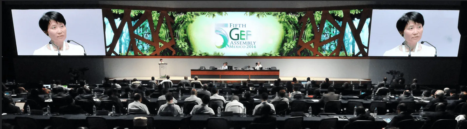 Fifth GEF Assembly Mexico 2014 — imagen 3